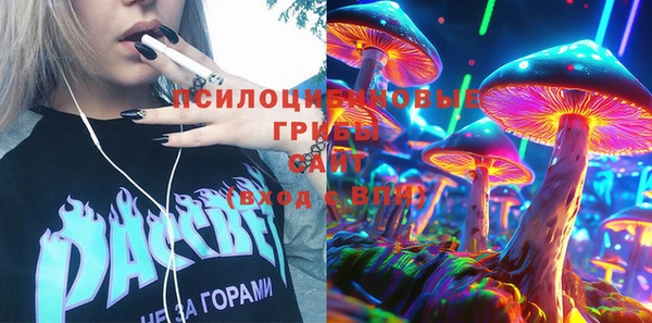 амф Богородицк