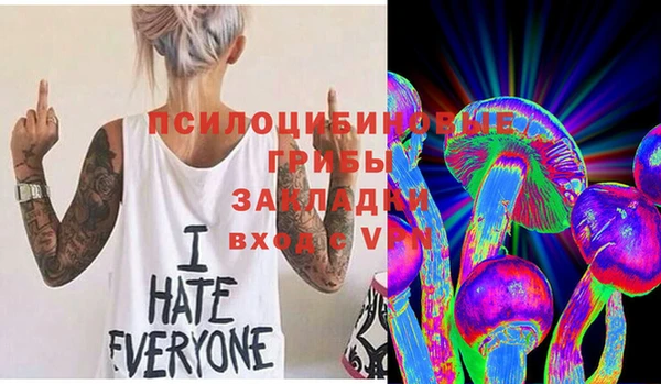 круглые Бронницы