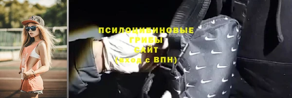 скорость Бородино