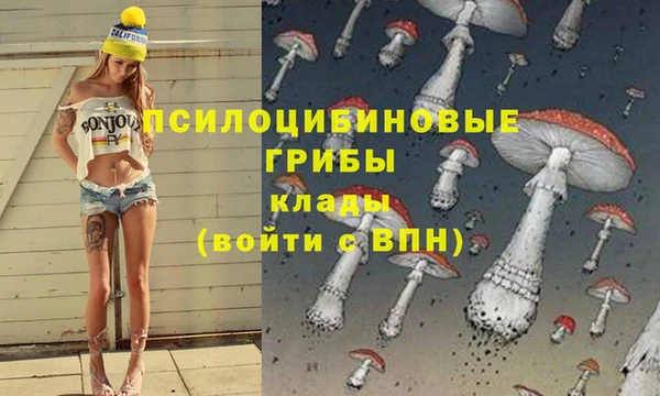 круглые Бронницы