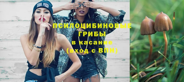 прущая мука Богородск